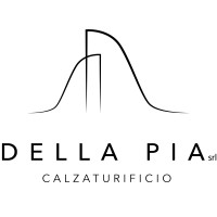 DELLA PIA S.R.L. logo - Similar company to Deimille