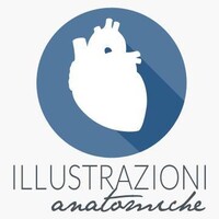 Medical Illustration logo - Similar company to Q-Axon