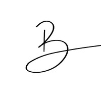 Bräu Innovation & Consulting logo - Similar company to Lumiosys Gmbh
