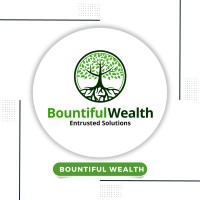 Bountiful Wealth Pty Ltd logo - Similar company to Tnw Solutions