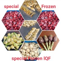 special frozen CO. Food logo - Similar company to Masfrost ( Frozen Vegetables )
