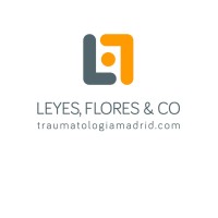 Leyes, Flores & CO logo - Similar company to Techxonn