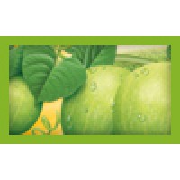 Monk Fruit logo - Similar company to Monk Fruit Corp