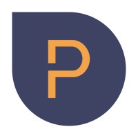 ProDigi logo - Similar company to Prodigi Group