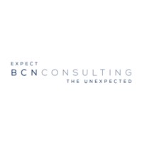 BCNCOSULTING.ES logo - Similar company to Martin Sky - Art Management - Studio 46 Barcelona