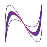 Nexdigm logo - Similar company to Vulcury