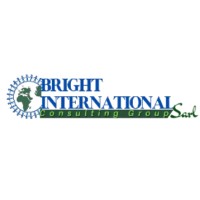 Bright International Consulting Group logo - Similar company to Trans Asia
