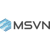 MSVN Distributed Systems Ltd. logo - Similar company to Rasa Technology