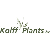 Kolff Plants B.V. logo - Similar company to Smith & Munson Limited