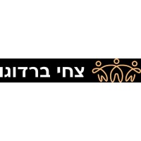 Tsachi Bardugo  - Lecturer✦Inspirational Speaker logo - Similar company to Dejavato Foundation