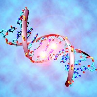 DNA Research Foundation logo - Similar company to Dna Genomics And Biotechnology