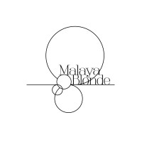 Malaya Blonde logo - Similar company to Lightright Private Limited
