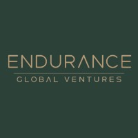 Endurance Global Ventures logo - Similar company to Setta