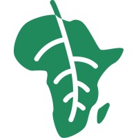 DOUX TEA logo - Similar company to Tea Heritage