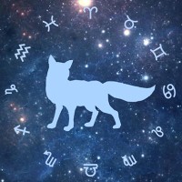 DreamFox Co logo - Similar company to Dream Fox Design