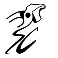 Studio Chaussure logo - Similar company to Chez June