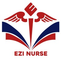 Ezi Nurse logo - Similar company to Nursing Guru
