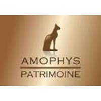 AMOPHYS PATRIMOINE logo - Similar company to Amophys