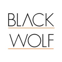 Black Wolf Design logo - Similar company to D-Tech Media, Llc