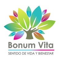 Bonum Vita logo - Similar company to Empresas Gp