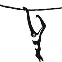 The Gibbon Experience logo - Similar company to Rifle Dynamics