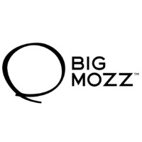 Big Mozz logo - Similar company to Components By John Mccoy