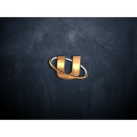 UnityGym Nederland logo - Similar company to Active & Fit