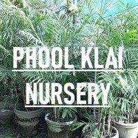 Phool Kali Nursery logo - Similar company to Vital Services Group