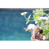 Fount Estremiero B&B | Holiday home logo - Similar company to Cc Experts