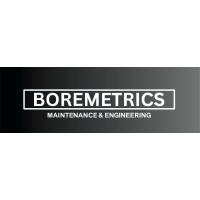 BOREMETRICS Maintenance & Engineering logo - Similar company to Briones Group