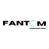 FANTOM CORPORATION (8a, SDB) logo - Similar company to Macnew Consulting, Sba 8A Certified, Wosb