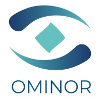 Ominor Analytics logo - Similar company to Engineered Software, Inc.