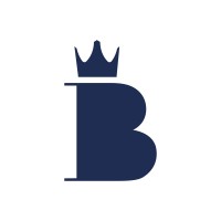 Blue King Studio logo - Similar company to Noise 360