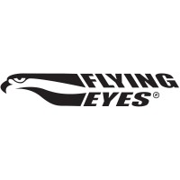 Flying Eyes logo - Similar company to Quantumdigital, Inc.