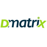 Dmatrix Soft logo - Similar company to Remskill