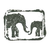 Southern Sky Adventures logo - Similar company to Tripdo.Com