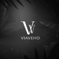 Viaveho logo - Similar company to Orbisur Groupe