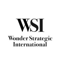 Wonder Strategic International logo - Similar company to Style Theory