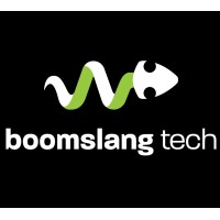 Boomslang Tech logo - Similar company to Nousfera