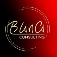 Blanca Consulting logo - Similar company to Artichaut De Paris | Agence De Communication