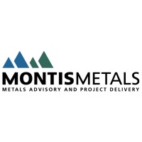 Montis Metals BV logo - Similar company to Max Services - Steel Construction