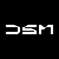 DSM Capital logo - Similar company to Healey Pre-Ipo