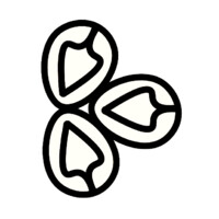Regenerative Studios logo - Similar company to Technocrats India