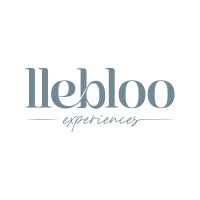 Llebloo logo - Similar company to Vidzero