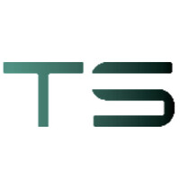 TALENTSCOUT logo - Similar company to Argentum*