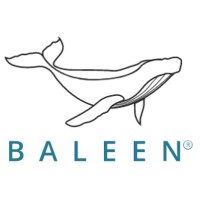Baleen Solutions logo - Similar company to Baleen Process Solutions