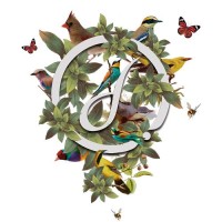 Dream Estamparia Digital logo - Similar company to Sorelle Têxtil