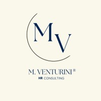 Mventurini Consulting logo - Similar company to Orion Box
