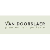 Planten en Potterie Van Doorslaer logo - Similar company to Emaï Poterie