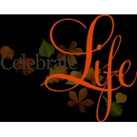 Celebrate Life Academy for Personal Excellence & Entrepreneurship logo - Similar company to Km Educational Services Llp